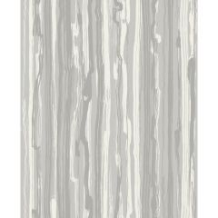 Cole and Son Strand Grey 1077034 Curio Collection Wall Covering