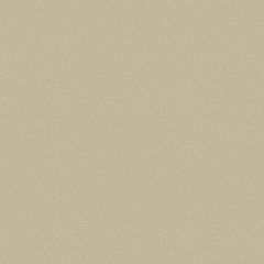 Cole and Son Goldstone Stone & Gilver 1079042 Curio Collection Wall Covering