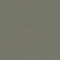 Cole and Son Goldstone Black & Silver 1079043 Curio Collection Wall Covering