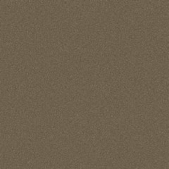 Cole and Son Goldstone Black & Bronze 1079044 Curio Collection Wall Covering