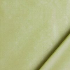 Beacon Hill Ballarat Celery Color Library Collection Indoor Upholstery Fabric
