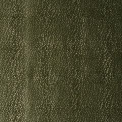 Kravet Design Kerinci Limelight 23 Performance Sta-Kleen Collection Indoor Upholstery Fabric