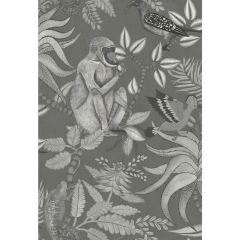 Cole and Son Savuti Charcoal 1091002 Ardmore Collection Wall Covering