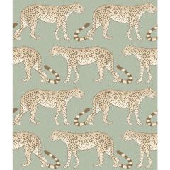 Cole and Son Leopard Walk Olive & White 1092009 Ardmore Collection Wall Covering
