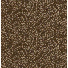 Cole and Son Senzo Spot True Leopard 1096028 Ardmore Collection Wall Covering