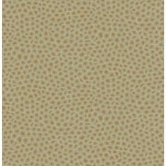 Cole and Son Senzo Spot Olive 1096029 Ardmore Collection Wall Covering