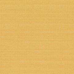 Robert Allen Contract Modern Canvas-Daffodil 214794 Decor Upholstery Fabric