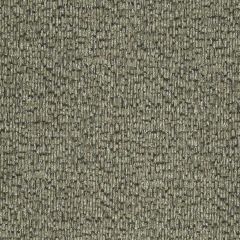 Robert Allen Glintwood Mica 245994 Landscape Color Collection Indoor Upholstery Fabric