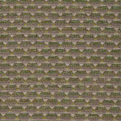 Gaston Y Daniela Piramides Verde GDT5512-3 Gaston Libreria Collection Upholstery Fabric