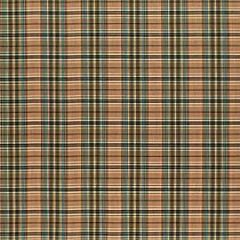 Robert Allen Letrec Capri Color Library Collection Indoor Upholstery Fabric