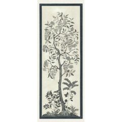 Cole and Son Trees Of Eden/eternity Charcoal & Parchment 11314041 Martyn Lawrence Bullard Collection Wall Covering