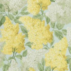 Cole and Son Lilac Lemon / Olive / Prm Blue 1151003 Botanical Botanica Collection Wall Covering