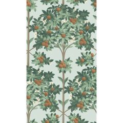 Cole and Son Orange Blossom Burnt Orange / Mint / Seafoam 1171004 Seville Collection Wall Covering