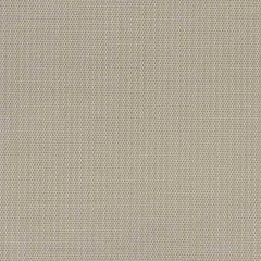 Perennials Canvas Weave Bone 600-202 More Amore Collection Upholstery Fabric