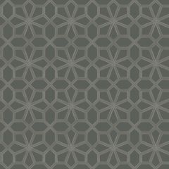 Cole and Son Wolsey Stars Chalk / Charcl 11816037 Historic Royal Palaces-Great Masters Collection Wall Covering