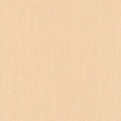 Kravet Basics Orange 33771-17 Perfect Plains Collection Multipurpose Fabric