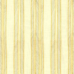 Kravet Basics Cords Sunny 33430-411 Waterside Collection by Jeffrey Alan Marks Multipurpose Fabric