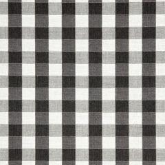 Sunbrella Check-Me-Out Onyx 45953-0009 Upholstery Fabric