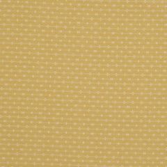 Robert Allen Woven Wicker Sunkist 120861 Indoor Upholstery Fabric