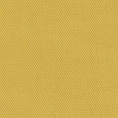 Perennials Ishi Topaz 950-255 Galbraith and Paul Collection Upholstery Fabric