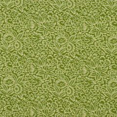 Robert Allen Contract Wallflower Willow Indoor Upholstery Fabric