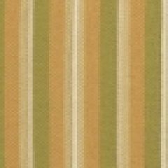 Robert Allen Unique Stripe Spring 122001 Indoor Upholstery Fabric
