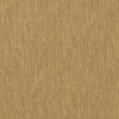 Robert Allen Bernini Flax Color Library Multipurpose Collection Indoor Upholstery Fabric