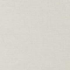 Robert Allen Mebane Cotton Essentials Multi Purpose Collection Indoor Upholstery Fabric