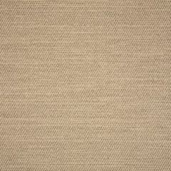 Sunbrella Pueblo Linen 50202-0001 Sling Upholstery Fabric