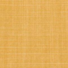 Robert Allen Bonelli Marigold Color Library Multipurpose Collection Indoor Upholstery Fabric