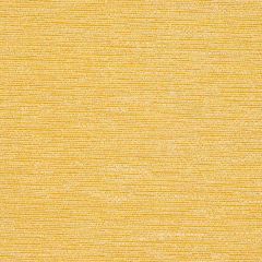 Robert Allen Boldari Wheat Color Library Collection Indoor Upholstery Fabric