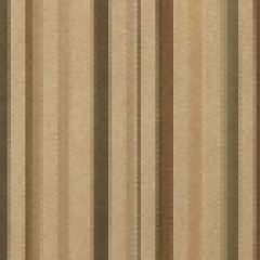 Robert Allen Straight Talk Eucalyptus 124273 Indoor Upholstery Fabric