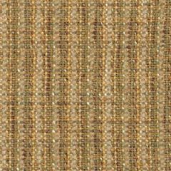 Robert Allen Picnic Time Thyme Color Library Collection Indoor Upholstery Fabric