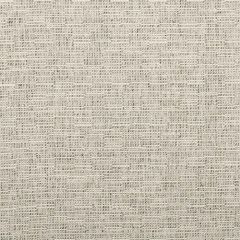 Kravet Smart 35518-1611 Inside Out Performance Fabrics Collection Upholstery Fabric