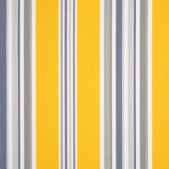 Dickson Windsor Yellow / White / Blue / Gray 6292 North American Collection Awning / Shade Fabric