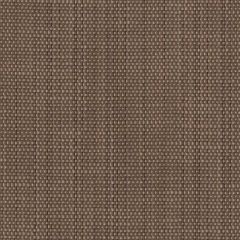 Perennials Rough Copy Mesa 956-281 Uncorked Collection Upholstery Fabric