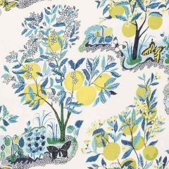 F Schumacher Citrus Garden Sheer Pool 178351 Patterned Sheers and Casements Collection Indoor Upholstery Fabric
