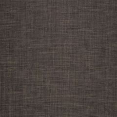 Robert Allen Desert Hill Espresso 236043 Natural Textures Collection Multipurpose Fabric