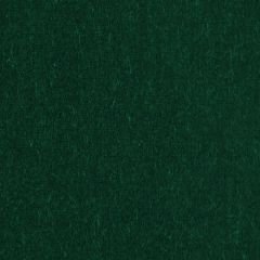 Beacon Hill Plush Mohair-Pine 228709 Decor Upholstery Fabric