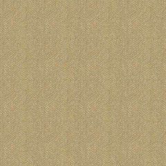 Kravet Contract Gold 33877-1616 Crypton Incase Collection Indoor Upholstery Fabric