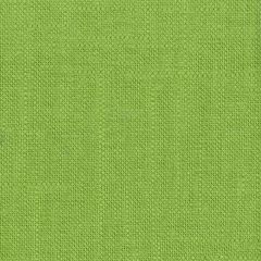 Stout Ticonderoga Grass 35 Linen Hues Collection Multipurpose Fabric