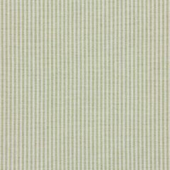 Robert Allen Oxford Unquilt Celery Color Library Multipurpose Collection Indoor Upholstery Fabric
