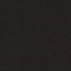 Robert Allen Success Noir 081789 Shade Store Collection Indoor Upholstery Fabric