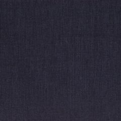 Robert Allen Calyer Black 136234 Indoor Upholstery Fabric