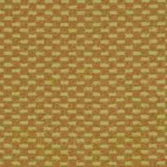 Robert Allen Contract Tabloid Geranium Indoor Upholstery Fabric