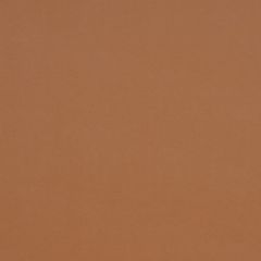 Robert Allen Galimatias Ginger 136863 Indoor Upholstery Fabric
