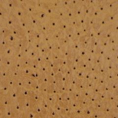 Robert Allen Wiley Caramel 136954 Indoor Upholstery Fabric