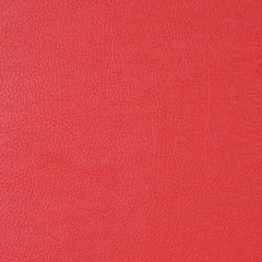 Robert Allen Mileath Blaze Essentials Collection Indoor Upholstery Fabric