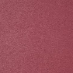 Robert Allen Mileath Bordeaux Essentials Collection Indoor Upholstery Fabric