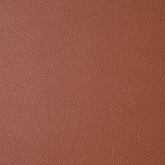 Robert Allen Mileath Brandy Essentials Collection Indoor Upholstery Fabric